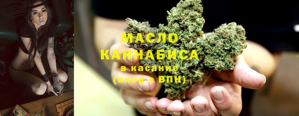 прущие грибы Верхний Тагил