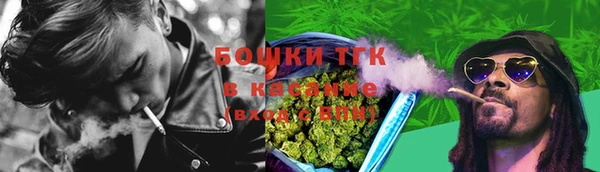 прущие грибы Верхний Тагил