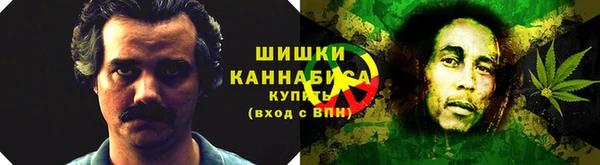 прущие грибы Верхний Тагил