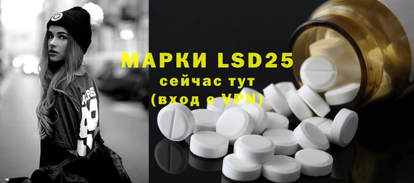 прущие грибы Верхний Тагил