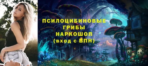 прущие грибы Верхний Тагил