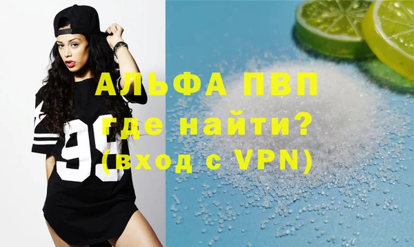 прущие грибы Верхний Тагил