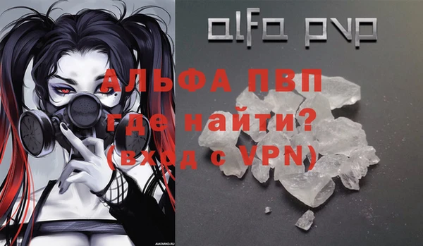 прущие грибы Верхний Тагил