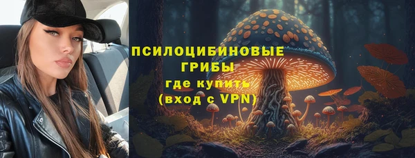 гидра Верхнеуральск