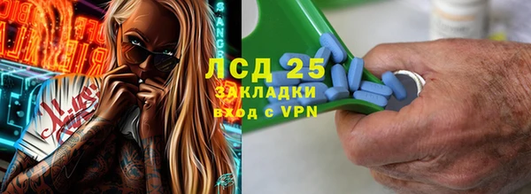 прущие грибы Верхний Тагил